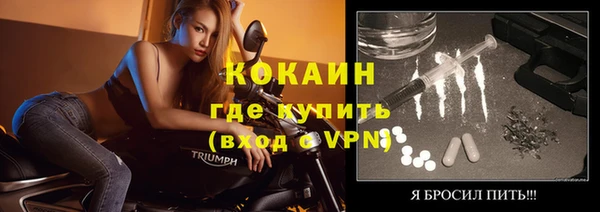 дживик Козельск