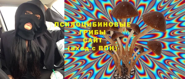 дживик Козельск