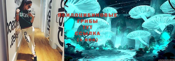 молекула духа Корсаков
