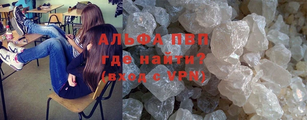 дживик Козельск